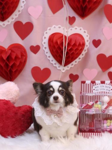 20240214アンジくん